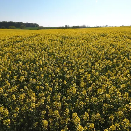 Schleiblick App 8 Apartment *